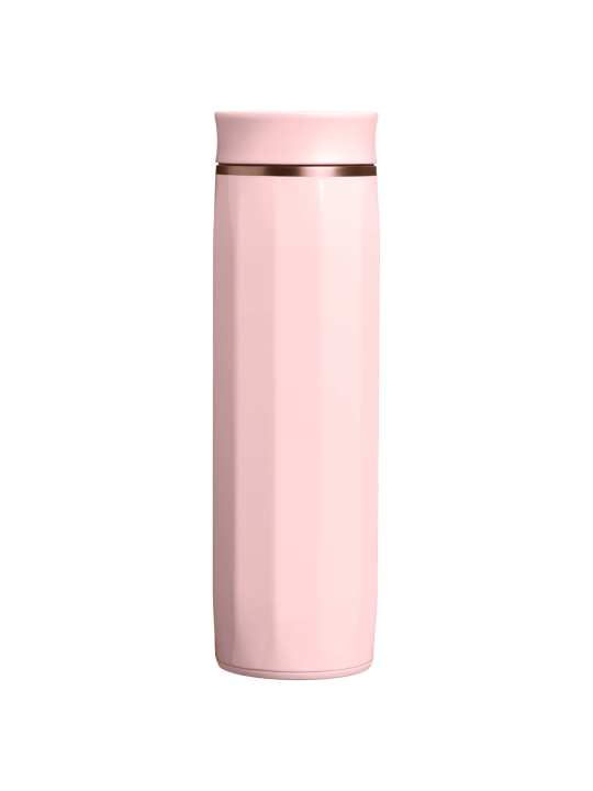 Termo Stanley Day Transit Surround Mug